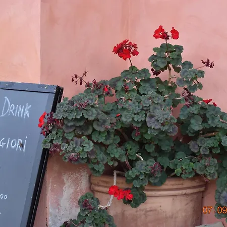 مزرعة للإقامة Rimaggiori Country & Restaurant