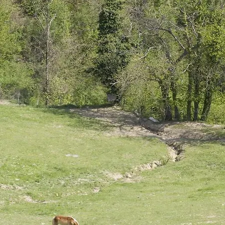 Farmház Rimaggiori Country & Restaurant *